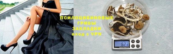 PSILOCYBIN Алзамай
