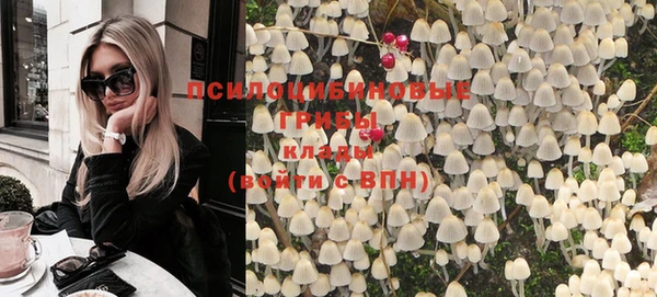 ПСИЛОЦИБИНОВЫЕ ГРИБЫ Алексин