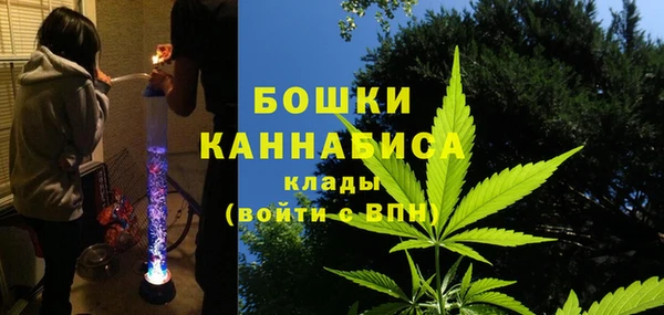 PSILOCYBIN Алзамай