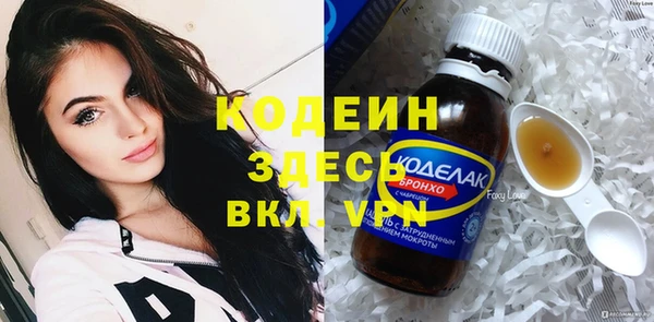PSILOCYBIN Алзамай